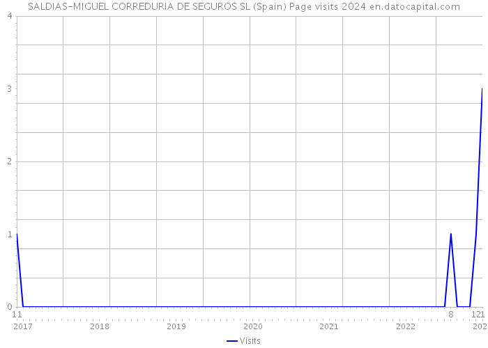 SALDIAS-MIGUEL CORREDURIA DE SEGUROS SL (Spain) Page visits 2024 