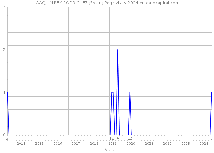 JOAQUIN REY RODRIGUEZ (Spain) Page visits 2024 