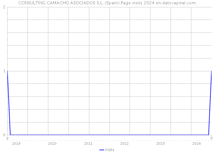 CONSULTING CAMACHO ASOCIADOS S.L. (Spain) Page visits 2024 