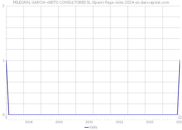 PELEGRIN, GARCIA-NIETO CONSULTORES SL (Spain) Page visits 2024 