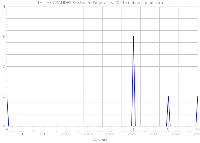 TALLAS GRANDES SL (Spain) Page visits 2024 