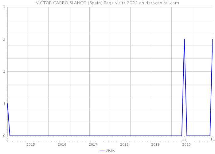 VICTOR CARRO BLANCO (Spain) Page visits 2024 