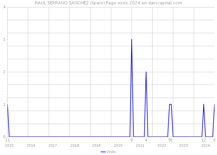 RAUL SERRANO SANCHEZ (Spain) Page visits 2024 