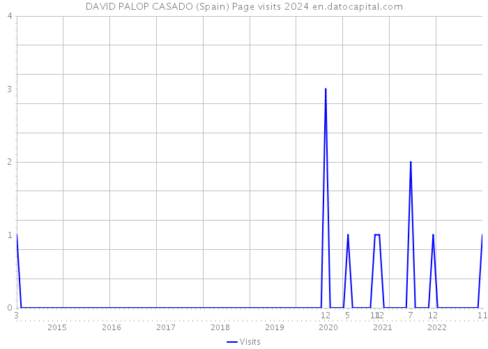 DAVID PALOP CASADO (Spain) Page visits 2024 