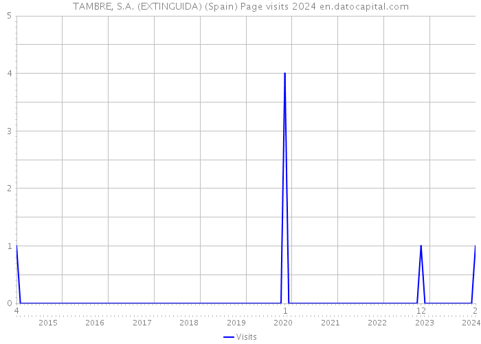 TAMBRE, S.A. (EXTINGUIDA) (Spain) Page visits 2024 