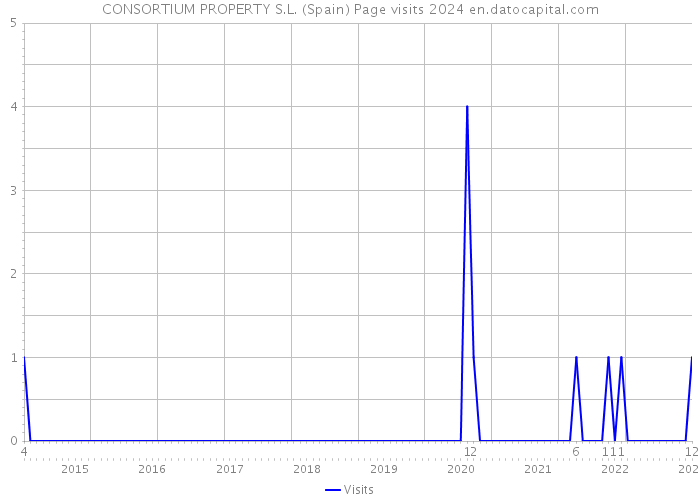 CONSORTIUM PROPERTY S.L. (Spain) Page visits 2024 