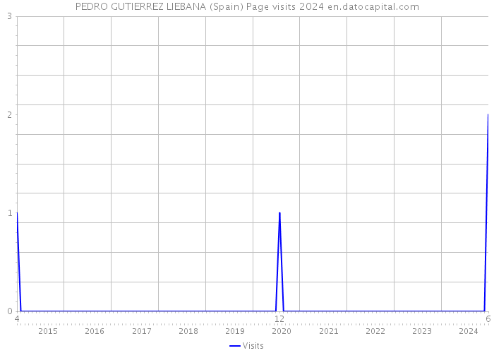 PEDRO GUTIERREZ LIEBANA (Spain) Page visits 2024 