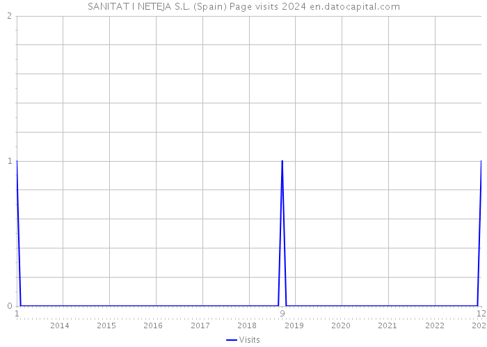 SANITAT I NETEJA S.L. (Spain) Page visits 2024 