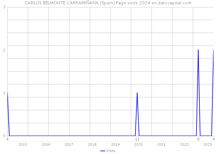 CARLOS BELMONTE CARRAMIÑANA (Spain) Page visits 2024 