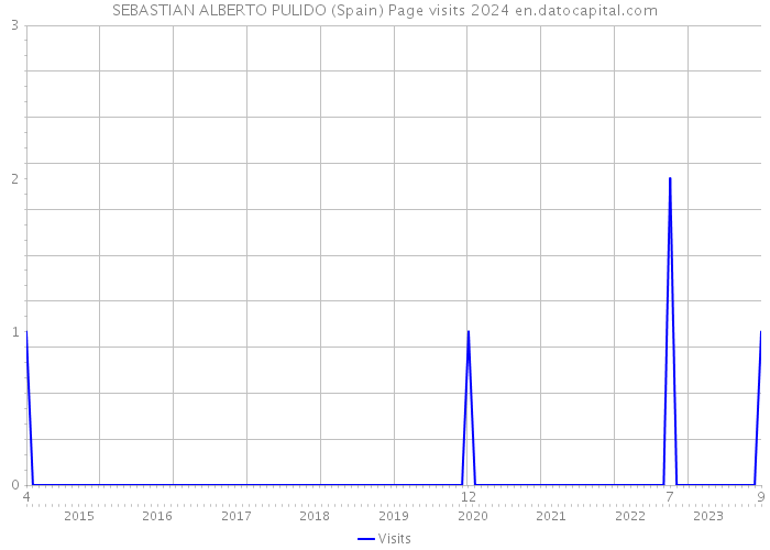 SEBASTIAN ALBERTO PULIDO (Spain) Page visits 2024 