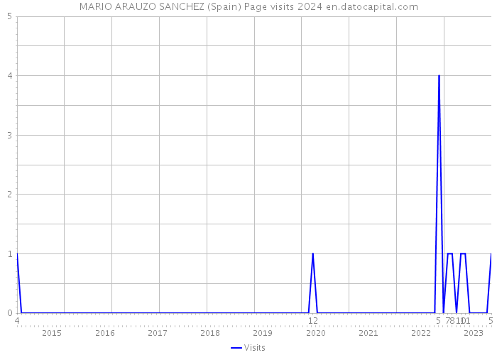 MARIO ARAUZO SANCHEZ (Spain) Page visits 2024 