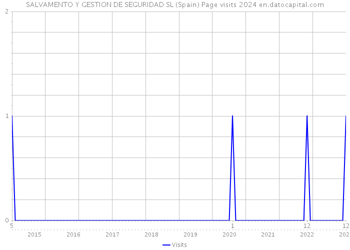 SALVAMENTO Y GESTION DE SEGURIDAD SL (Spain) Page visits 2024 