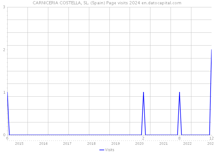 CARNICERIA COSTELLA, SL. (Spain) Page visits 2024 