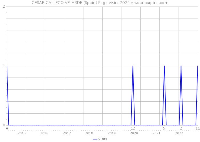 CESAR GALLEGO VELARDE (Spain) Page visits 2024 