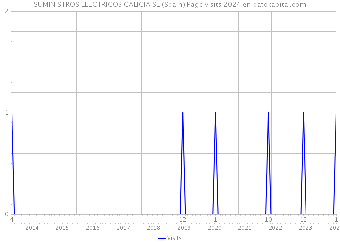 SUMINISTROS ELECTRICOS GALICIA SL (Spain) Page visits 2024 