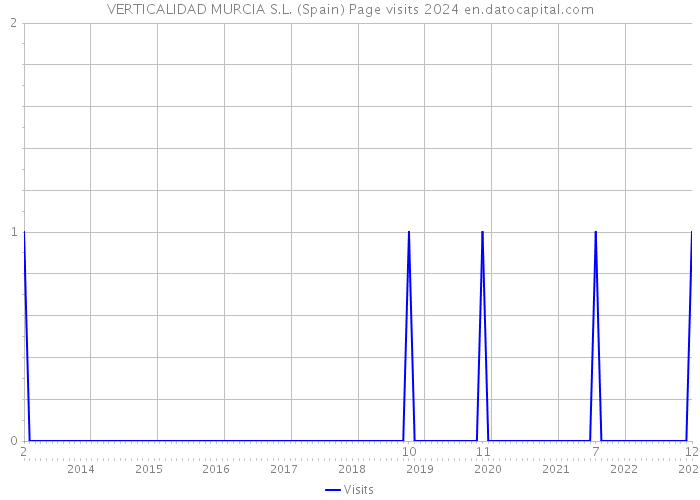 VERTICALIDAD MURCIA S.L. (Spain) Page visits 2024 