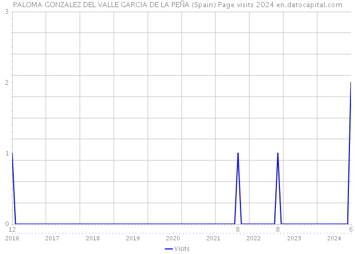 PALOMA GONZALEZ DEL VALLE GARCIA DE LA PEÑA (Spain) Page visits 2024 