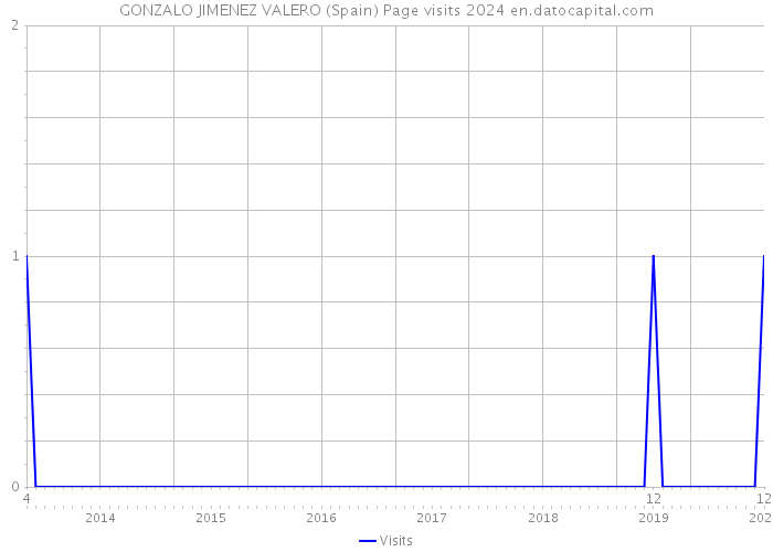 GONZALO JIMENEZ VALERO (Spain) Page visits 2024 