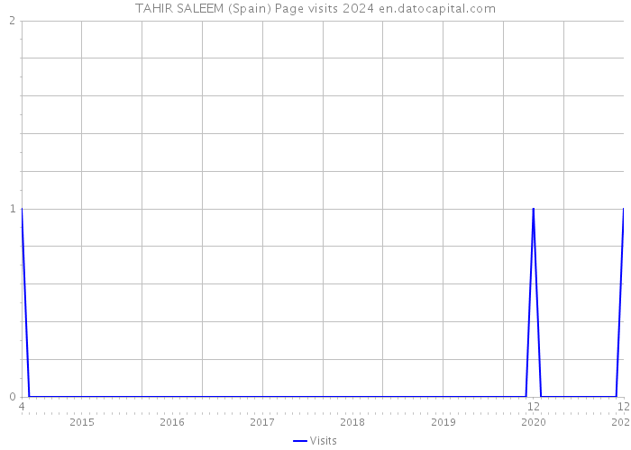 TAHIR SALEEM (Spain) Page visits 2024 
