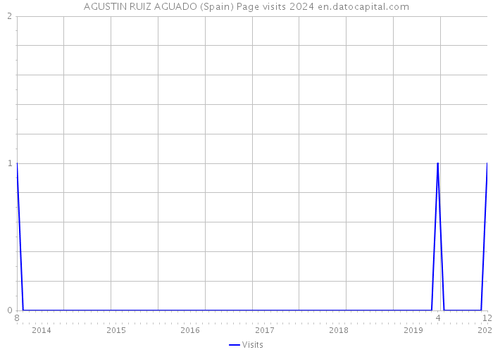 AGUSTIN RUIZ AGUADO (Spain) Page visits 2024 