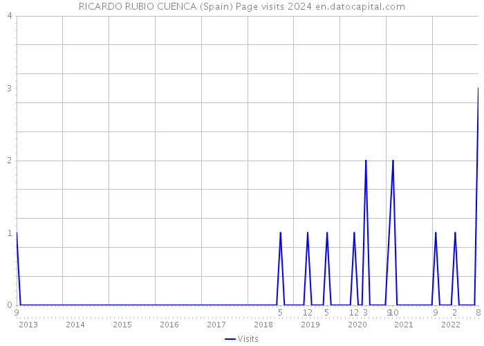 RICARDO RUBIO CUENCA (Spain) Page visits 2024 