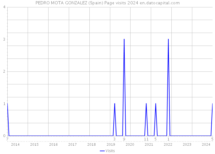 PEDRO MOTA GONZALEZ (Spain) Page visits 2024 