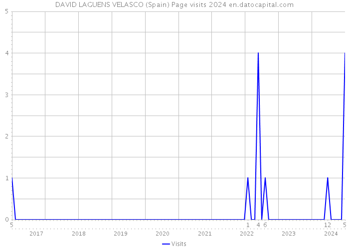 DAVID LAGUENS VELASCO (Spain) Page visits 2024 