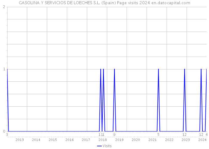 GASOLINA Y SERVICIOS DE LOECHES S.L. (Spain) Page visits 2024 