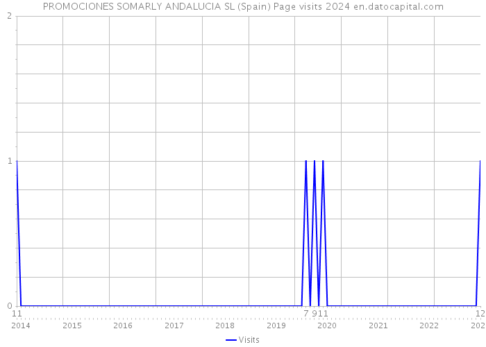 PROMOCIONES SOMARLY ANDALUCIA SL (Spain) Page visits 2024 