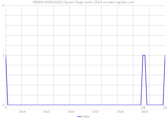 PEDRO MORGADO (Spain) Page visits 2024 