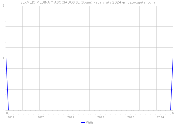 BERMEJO MEDINA Y ASOCIADOS SL (Spain) Page visits 2024 