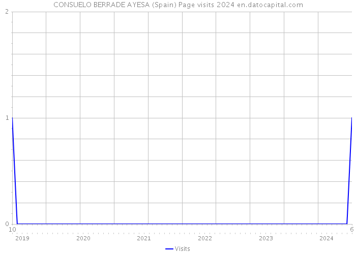 CONSUELO BERRADE AYESA (Spain) Page visits 2024 