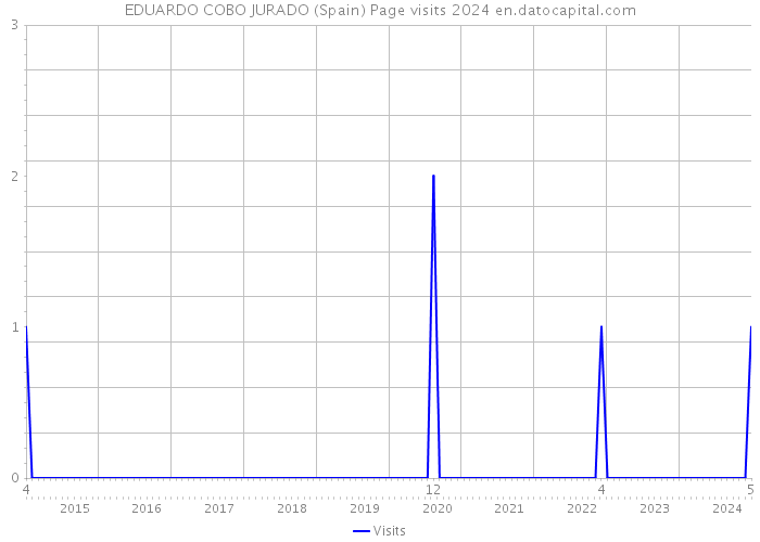 EDUARDO COBO JURADO (Spain) Page visits 2024 