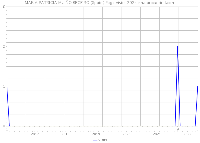 MARIA PATRICIA MUIÑO BECEIRO (Spain) Page visits 2024 