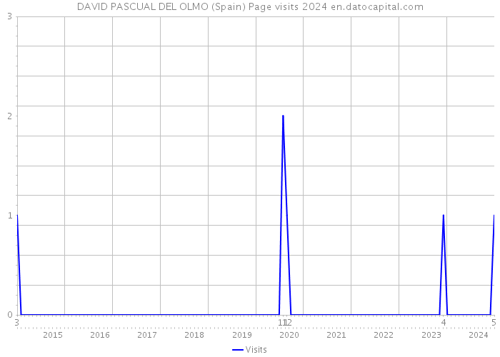 DAVID PASCUAL DEL OLMO (Spain) Page visits 2024 