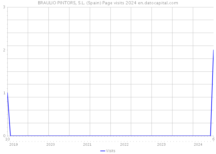 BRAULIO PINTORS, S.L. (Spain) Page visits 2024 