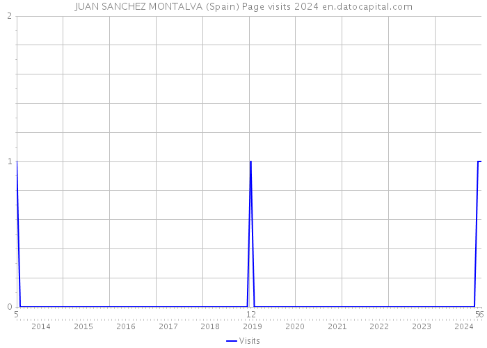 JUAN SANCHEZ MONTALVA (Spain) Page visits 2024 