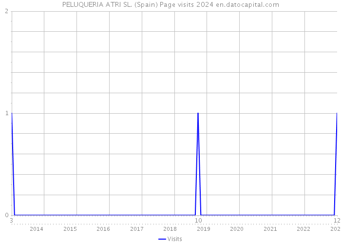 PELUQUERIA ATRI SL. (Spain) Page visits 2024 