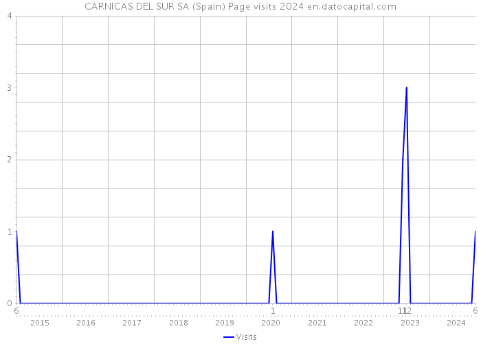 CARNICAS DEL SUR SA (Spain) Page visits 2024 