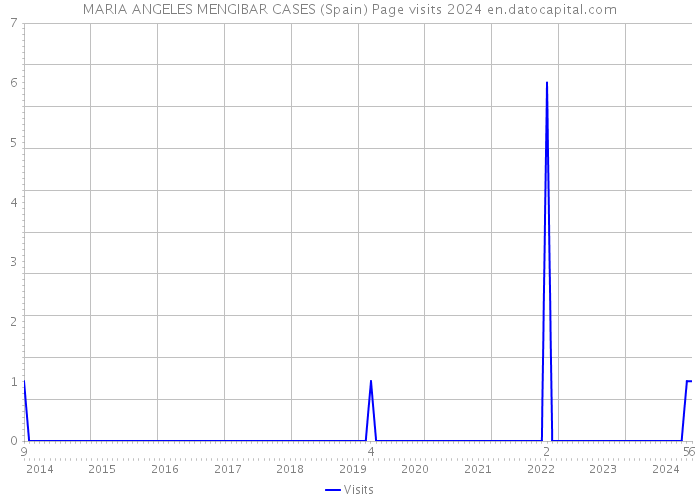 MARIA ANGELES MENGIBAR CASES (Spain) Page visits 2024 