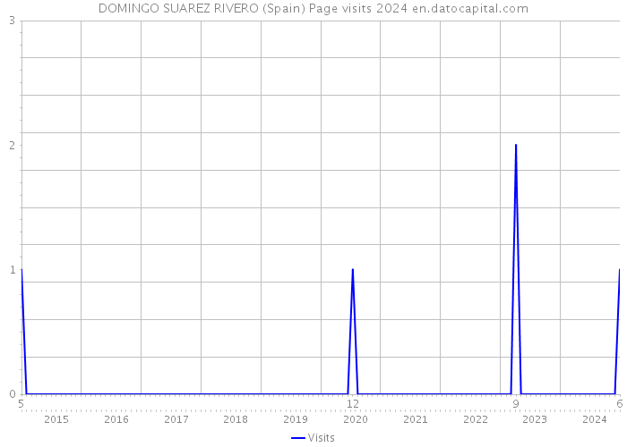 DOMINGO SUAREZ RIVERO (Spain) Page visits 2024 