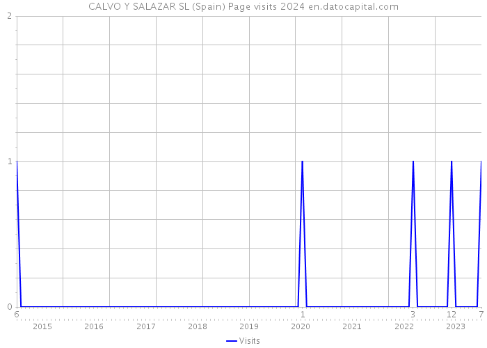 CALVO Y SALAZAR SL (Spain) Page visits 2024 