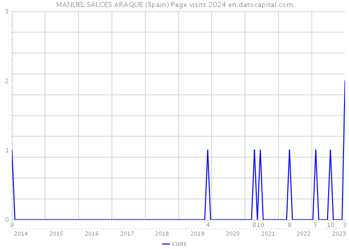 MANUEL SALCES ARAQUE (Spain) Page visits 2024 