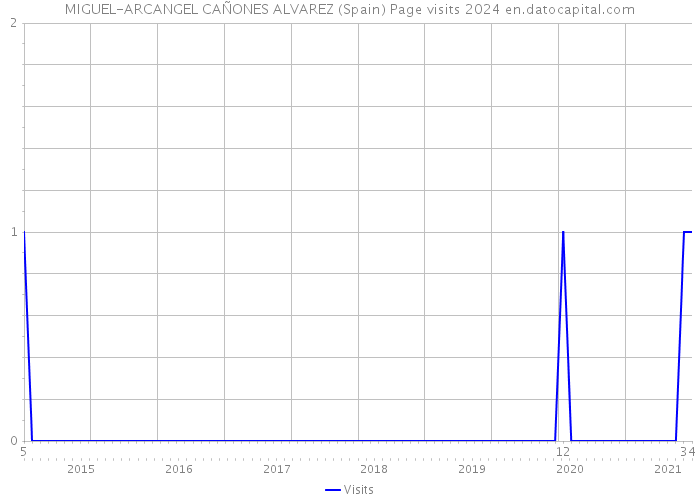 MIGUEL-ARCANGEL CAÑONES ALVAREZ (Spain) Page visits 2024 