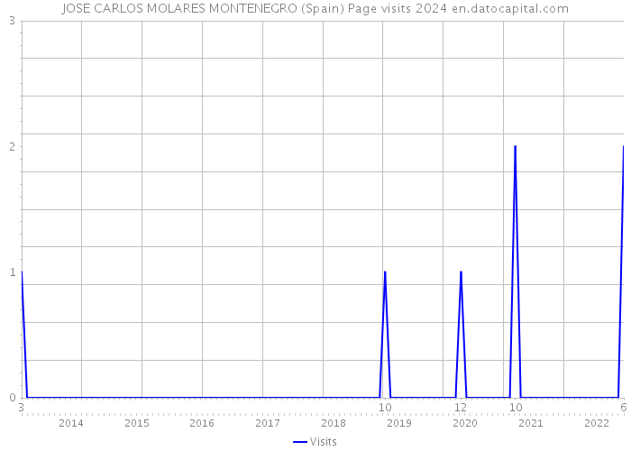 JOSE CARLOS MOLARES MONTENEGRO (Spain) Page visits 2024 