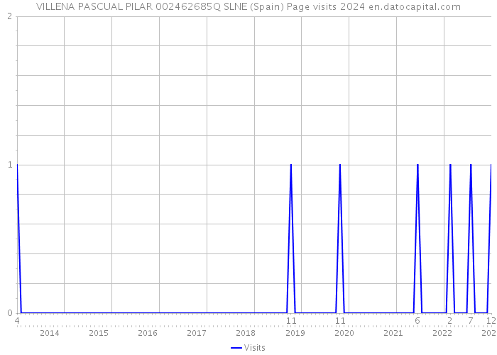 VILLENA PASCUAL PILAR 002462685Q SLNE (Spain) Page visits 2024 