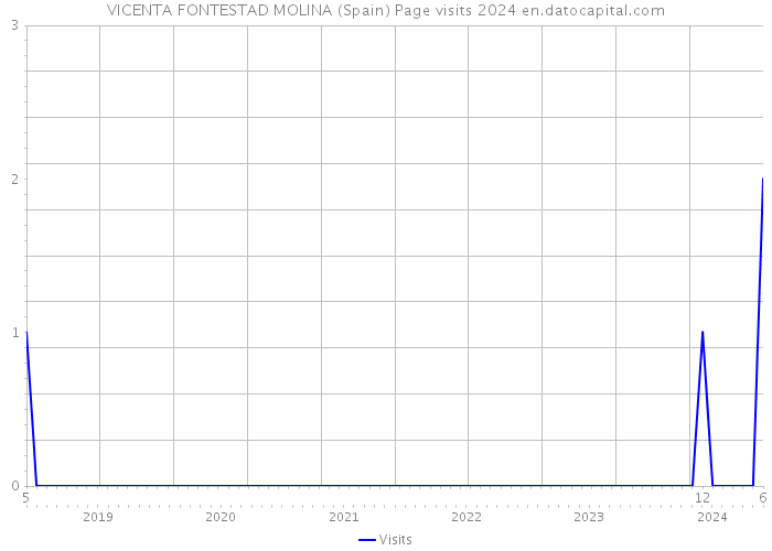 VICENTA FONTESTAD MOLINA (Spain) Page visits 2024 