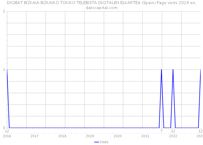 DIGIBAT BIZKAIA BIZKAIKO TOKIKO TELEBISTA DIGITALEN ELKARTEA (Spain) Page visits 2024 
