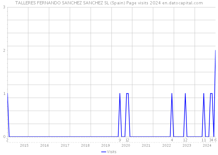 TALLERES FERNANDO SANCHEZ SANCHEZ SL (Spain) Page visits 2024 