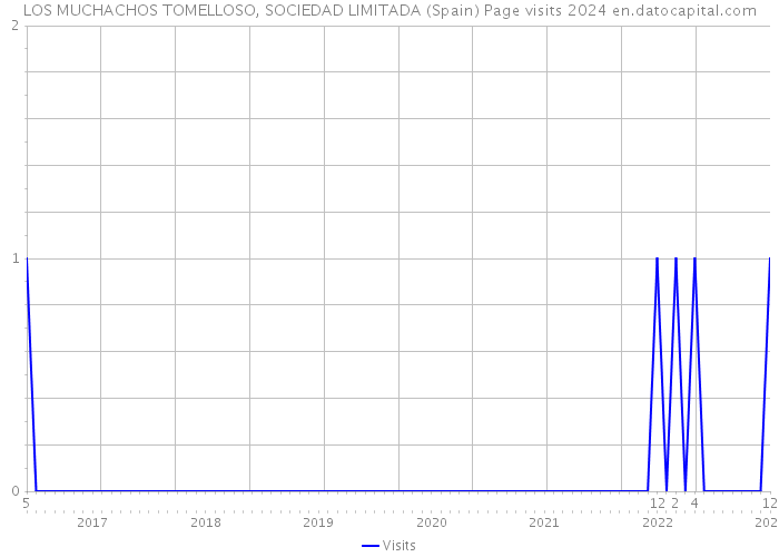 LOS MUCHACHOS TOMELLOSO, SOCIEDAD LIMITADA (Spain) Page visits 2024 